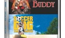 足坛神犬在线观看,足球场上的忠诚伙伴